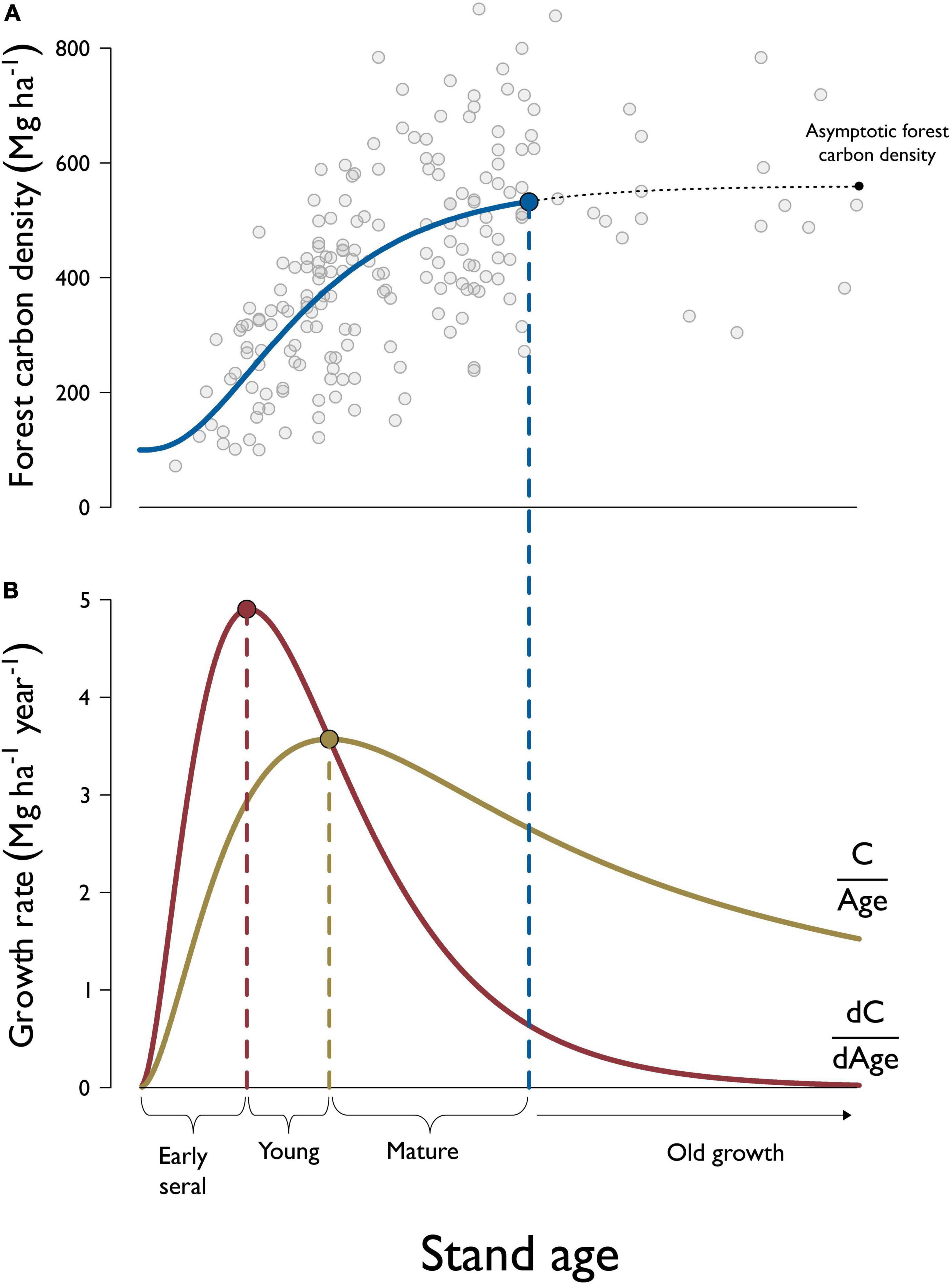 Classifying, inventorying, and mapping mature and old-growth forests in the United States